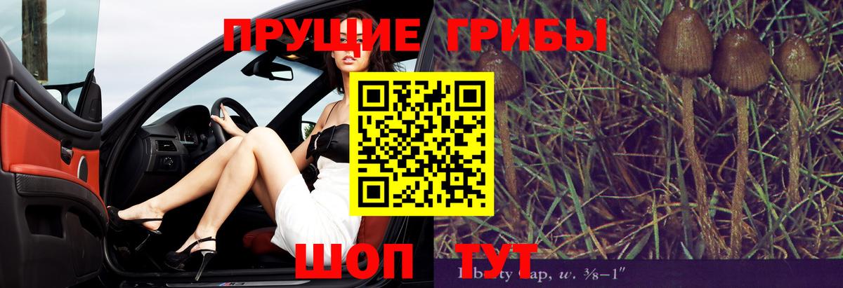 Екатеринбург  Псилоцибиновые грибы ЛСД  Вход с VPN  Галлюциногенные грибы Psilocybine cubensis 